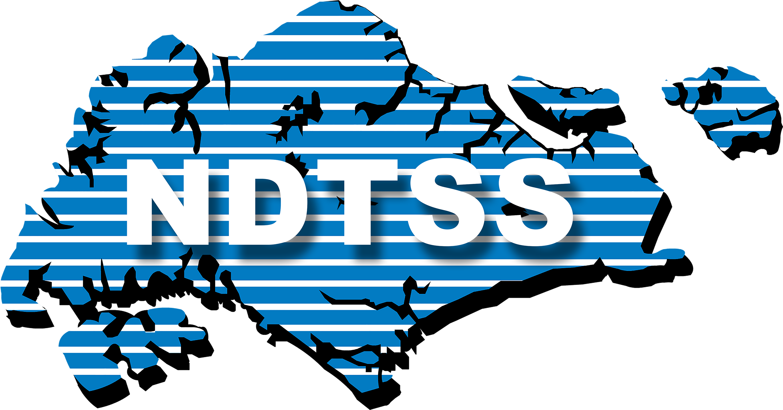 NDTSS
